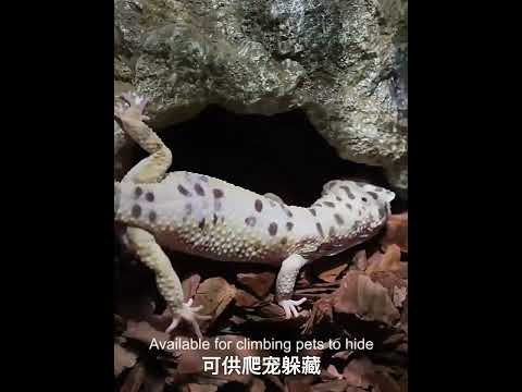 S Reptile Simulation Rocks Hideaway House Turtle Sunbed - YouTube Video