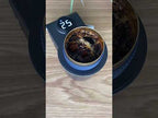 Car Digital Display Fast Cooling and Heating Cup, Style: Generation 1 Black - YouTube Video