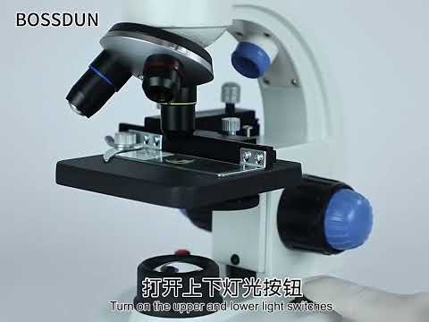 SVBONY SV605 40-1600X Compound Binocular Microscope, Adapter: EU Plug - YouTube Video