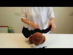 Creative Cat Dog Halloween Bat Wings Funny Props Pet Clothes, Size：L (Bat Pack) - YouTube Video