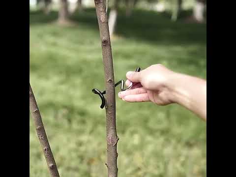 3 PCS Outdoor Camping Antiskid S-Shaped Hook for Light Pole - YouTube Video