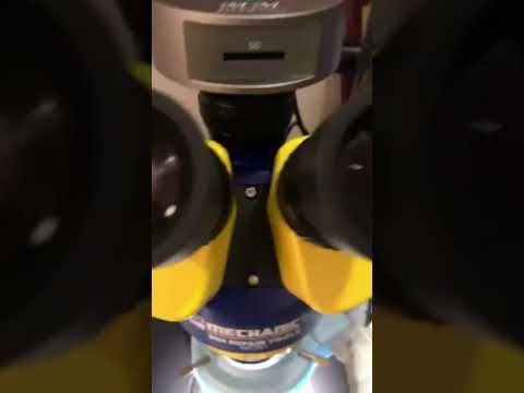 MECHANIC MC-75TB1 Trinocular Stereo Microscope Industrial Grade Can Connect To HD Display - YouTube Video