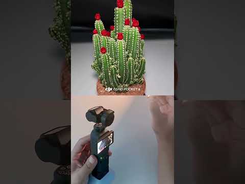 For DJI Pocket 4 BRDRC Portable Handheld Magnetic Selfie Light(Black) - YouTube Video