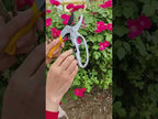 Labor-saving Hand Garden Gardening Shears Beak Manual Branch Pruning Shears - YouTube Video
