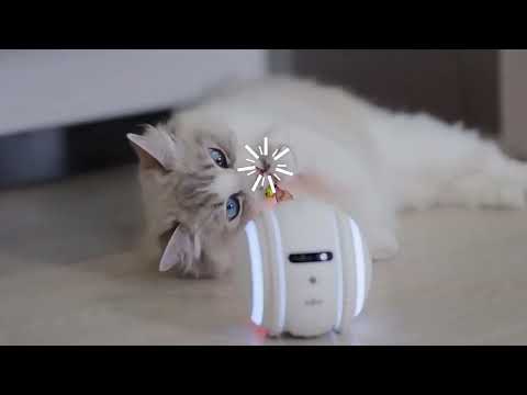 ESCAM QF011 2MP Smart Pet Robot Camera with Night Vision & APP Remote Control(EU Plug) - YouTube Video