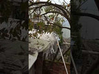 Metal Fruit Picker Convenient Fabric Orchard Gardening Apple Peach High Tree Picking Tools - YouTube Video