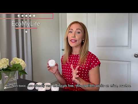 Ultrasonic Outdoor Animal Repellent, EU Plug - YouTube Video