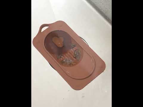 Liquid error (snippets/product-media-gallery-content line 614): Could not find asset snippets/product-media-alt.liquid