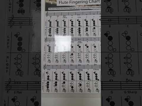 Coated Paper Flute Chord Fingering Practice Chart Staff Chord Fingering(Small) - YouTube Video