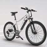 HIMO C26 Electric Bike Gray
