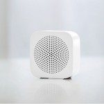 Xiaomi XiaoAi Portable Speaker