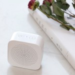 Xiaomi XiaoAi Portable Speaker