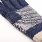 Xiaomi Mi Men`s Touchscreen Wool Winter Gloves Blue / Beige