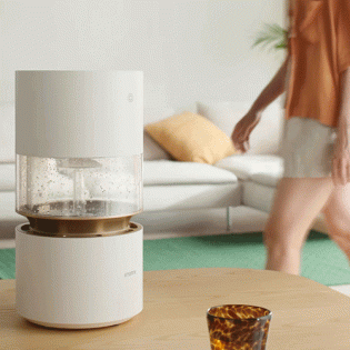 Smartmi Humidifier Rainforest