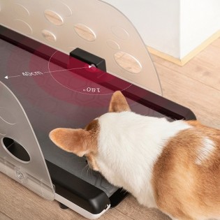 Xiaomi YESOUL Smart Pet Treadmill Q1